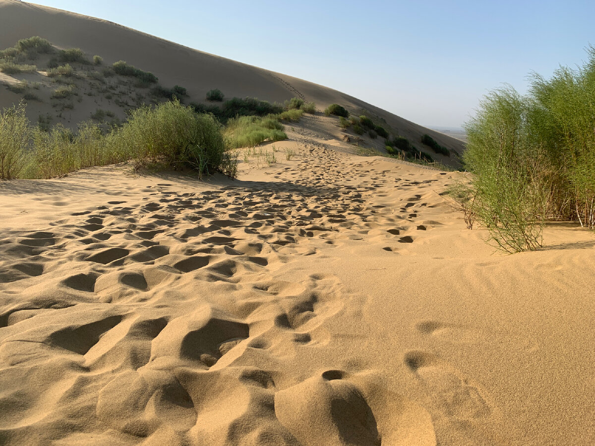 Бреду по Бархану в восхищении