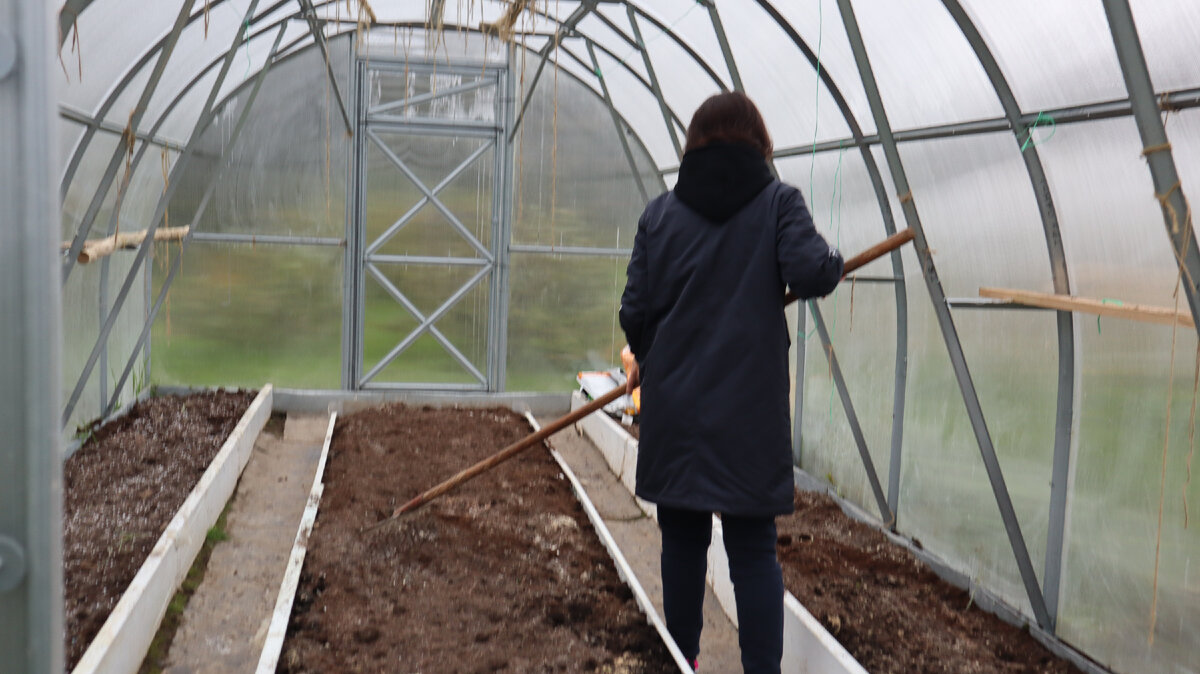 Теплица осеню, уход.