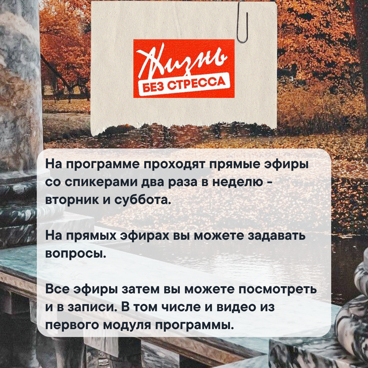 Все эфиры можно посмотреть в записи.