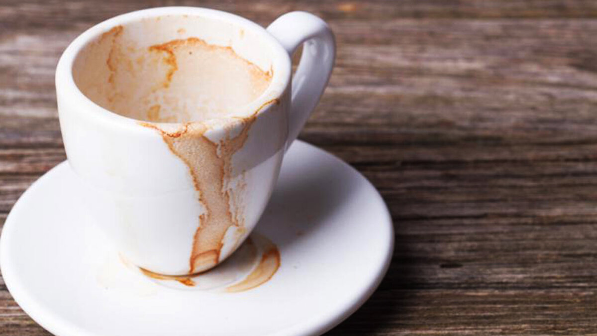 фотография взята из открытых источников