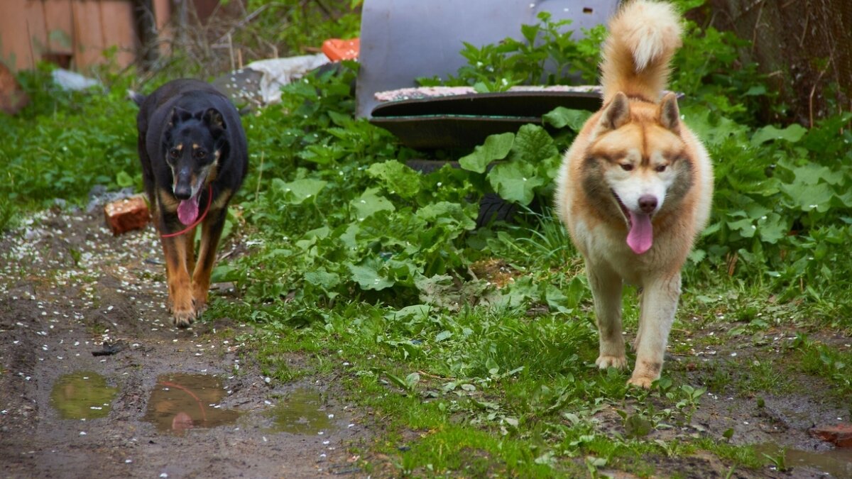 ИА SM-News Тюмень📷
