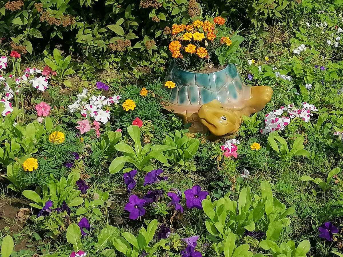Фото мое