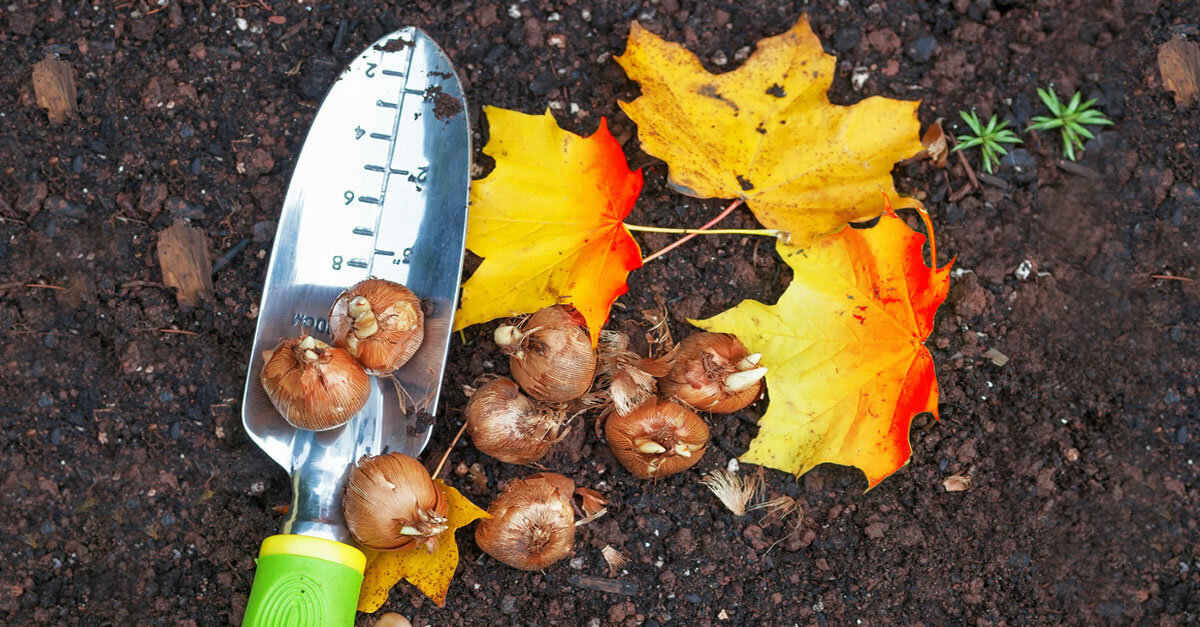 Источник фото: https://dzen.ru/a/XZbvzF1jYgCw_9jP