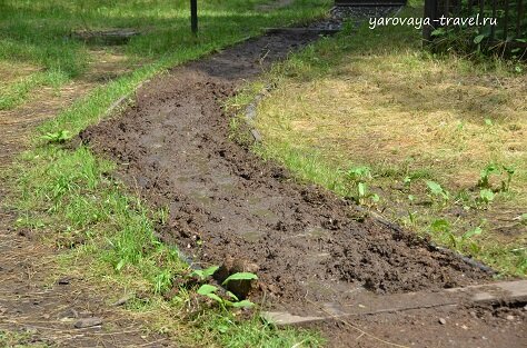 Тропа здоровья Лосиный остров