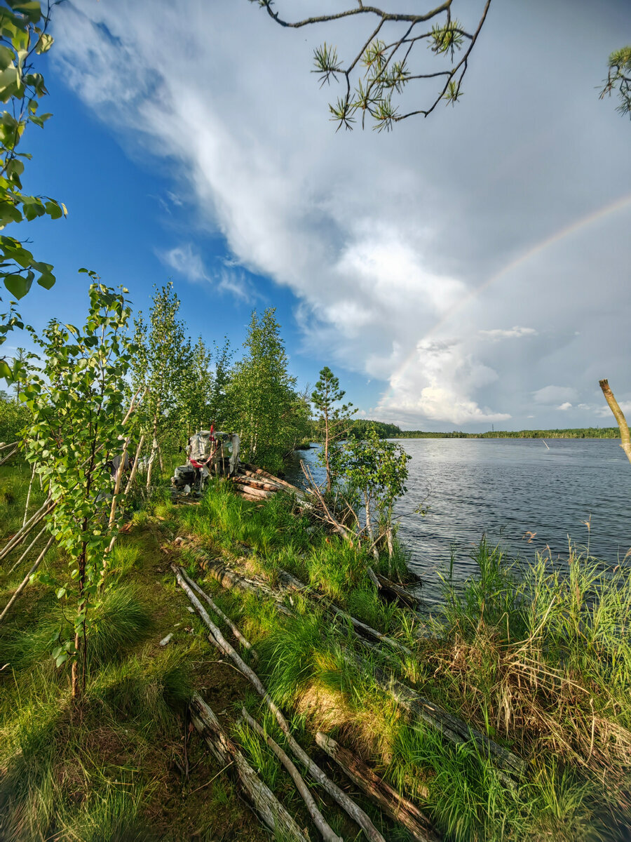 Фото сделано в августе. Перед засидкой проложена широкая гать.