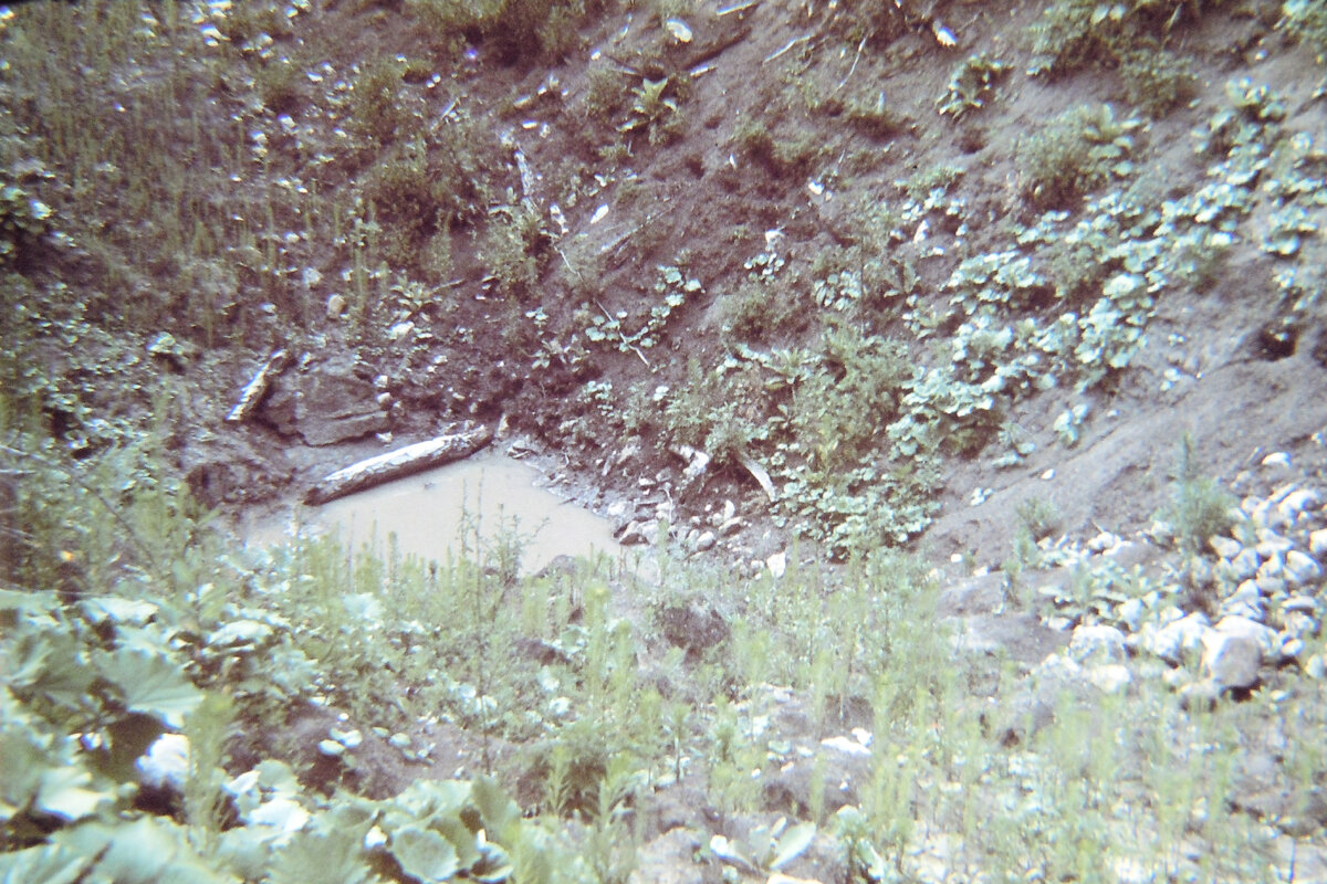 Курган № 40, вид на раскоп в траншее, который достиг уровня поселения новосвободненской культуры