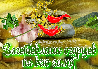 Заготовление огурцов на всю зиму