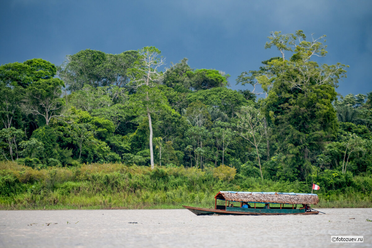 Общественный транспорт