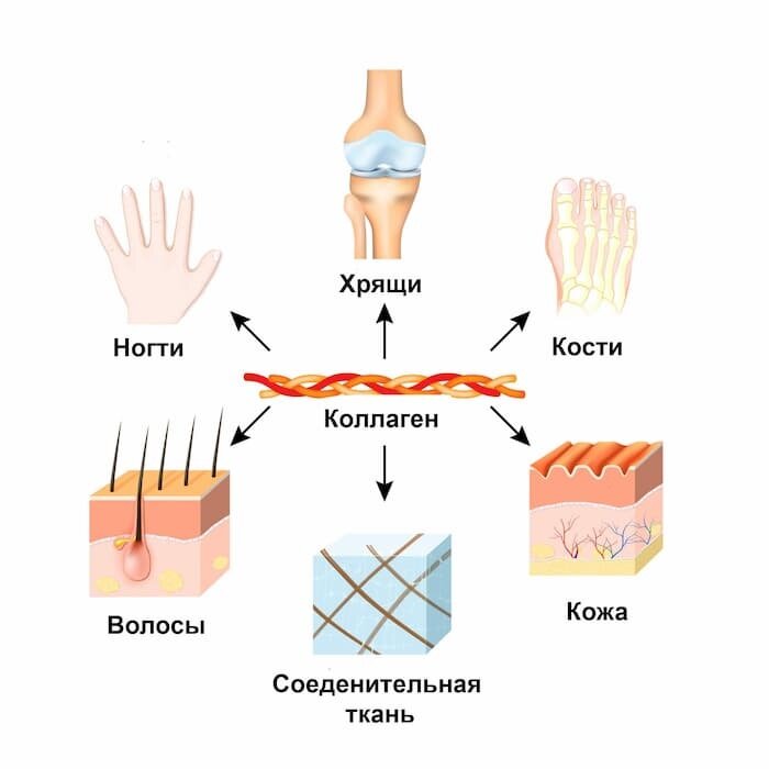 фото с сайта https://belok.ua/