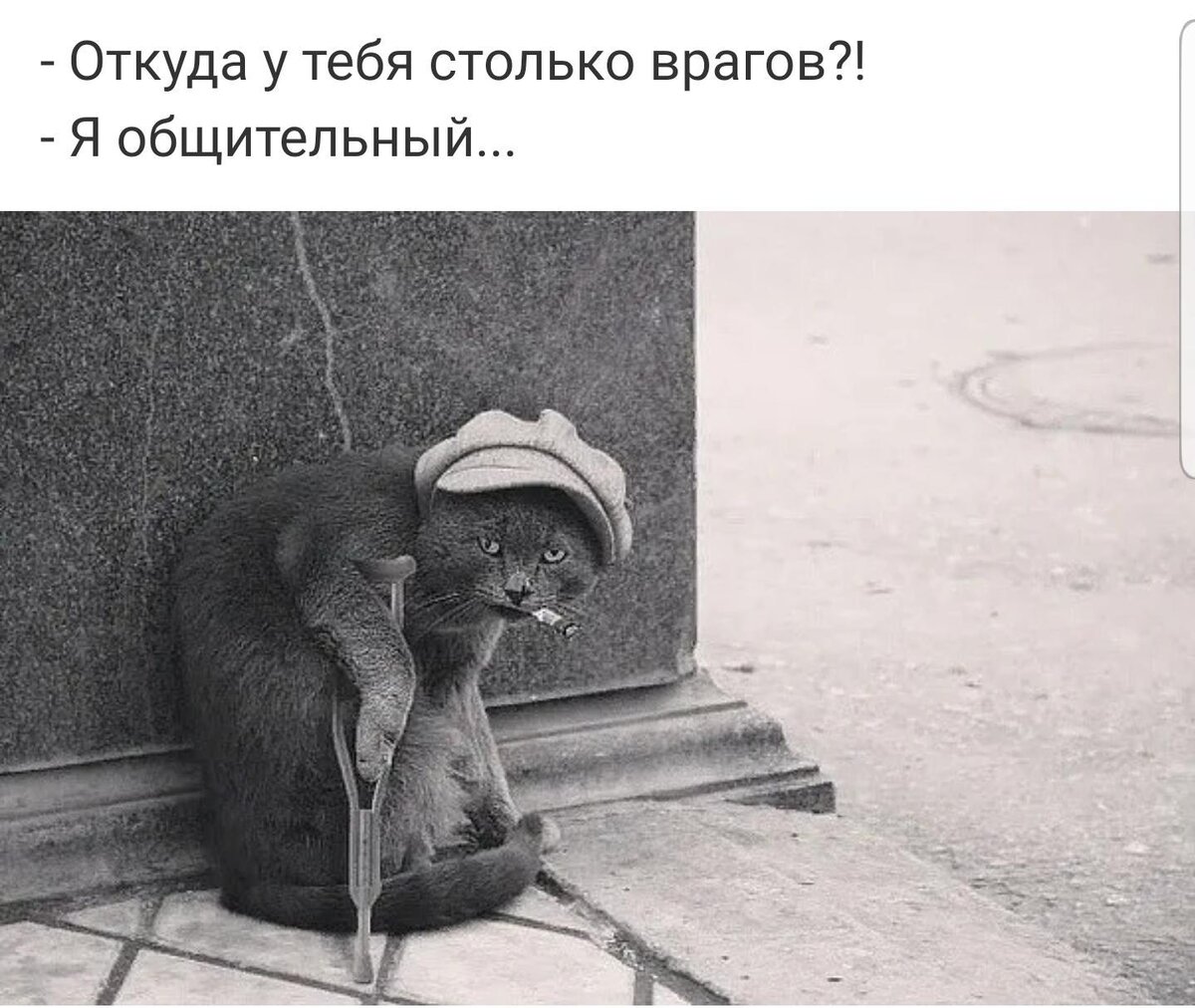 Фото из картинок yandex.ru