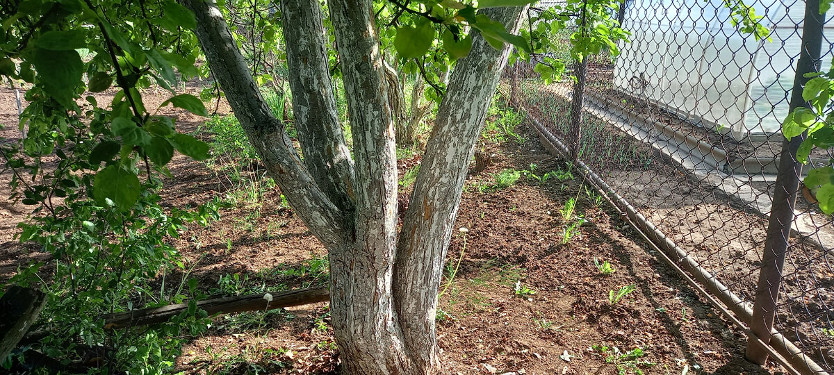 Авторское фото Айнур Давлетшин