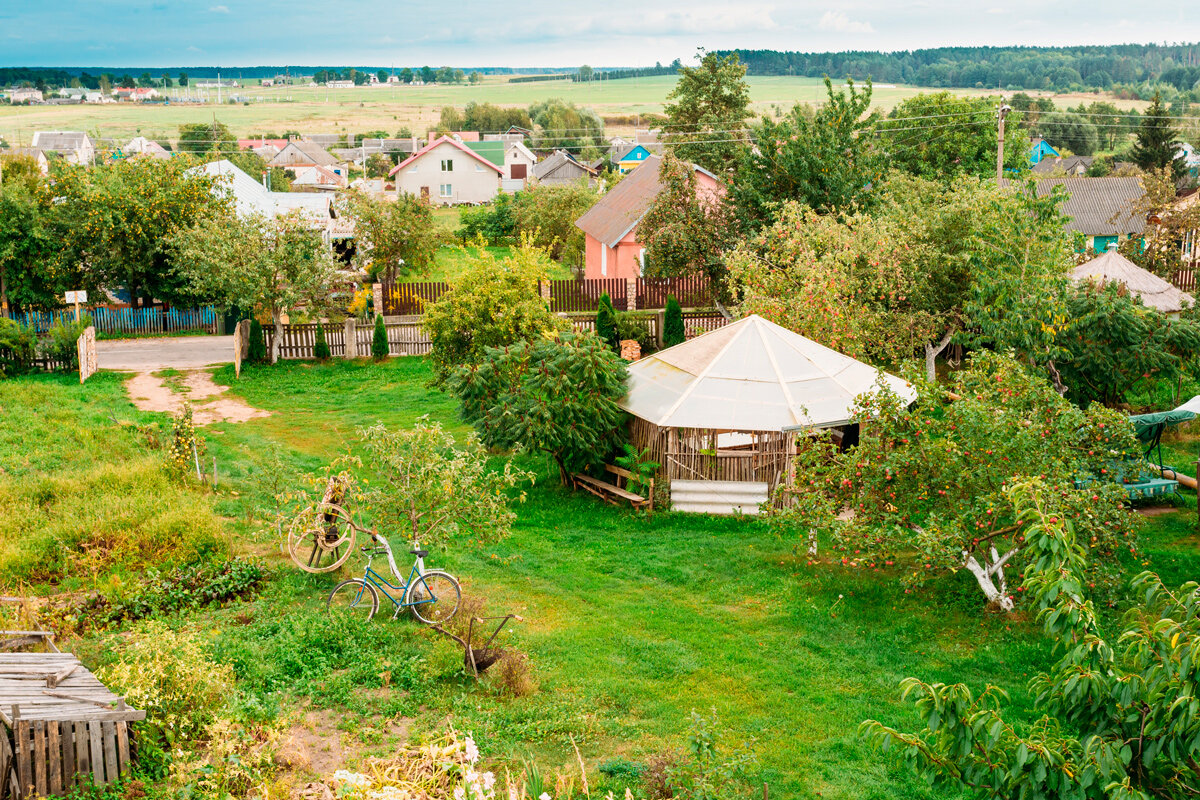    Фото: Grisha Bruev / Shutterstock.com