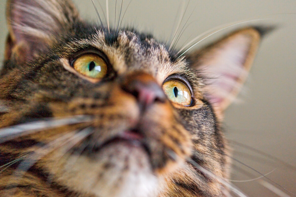 ���� � ����� �������� ������������ ������ ��&nbsp;���� ��������. �� ��&nbsp;������ ������ ��������� ��&nbsp;����� ���������, ������������ �����.-5