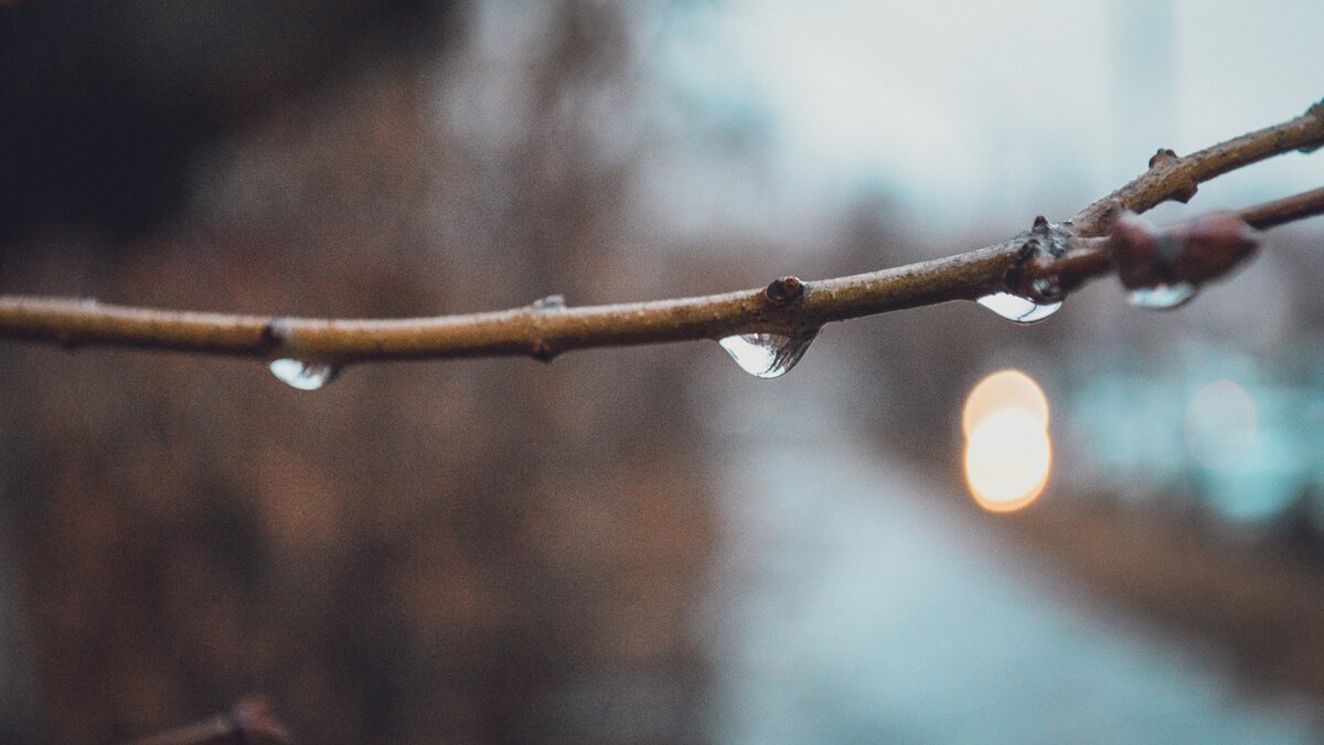     Синоптики рассказали о погоде на ближайшую неделю. Ночью ожидаются заморозки.