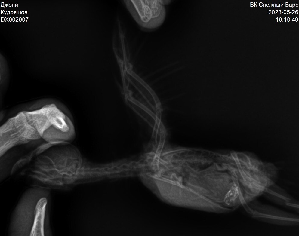 Капец...спит малышка...