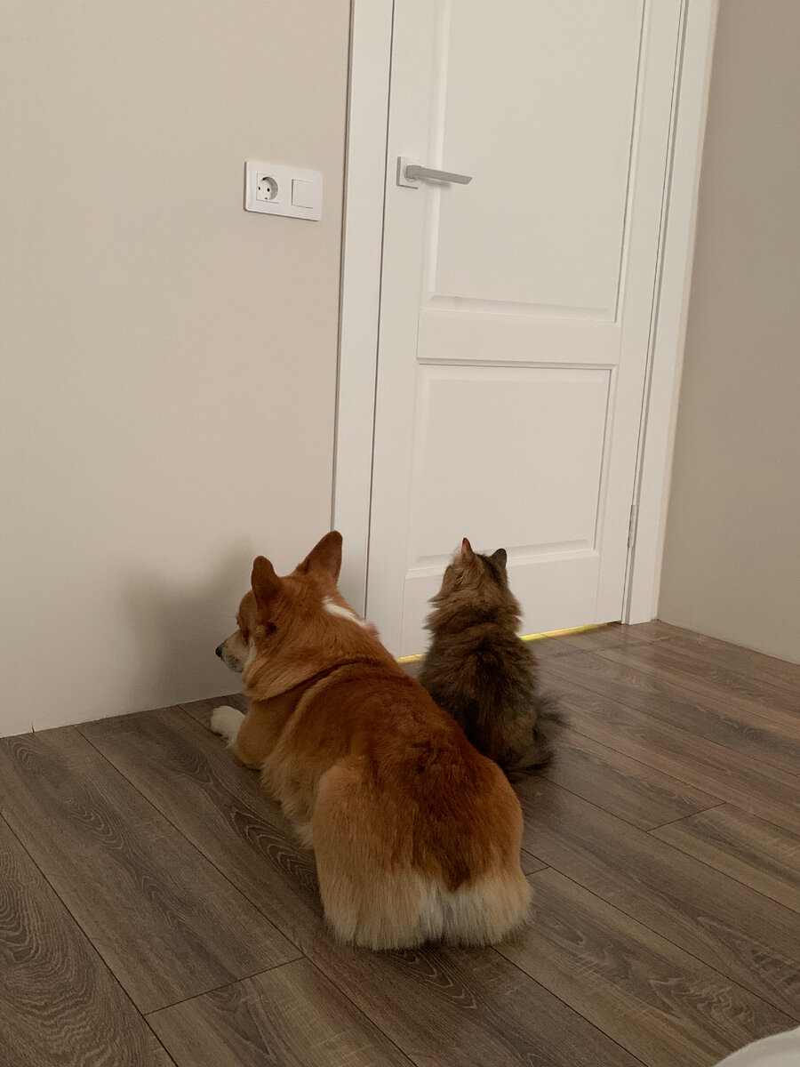 ждуны:)