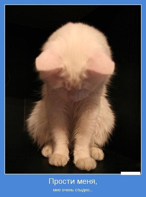 Tapтaлeтки & Ко