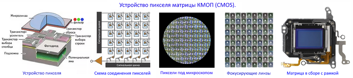 ✽ Площадь поверхности матрицы фотокамеры от 21,59 см² до 0,28 см² Авторский коллаж.