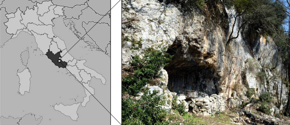   Alessia D’Agostino et al. / Vegetation History and Archaeobotany, 2023