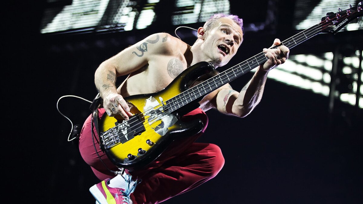 Они прошли путь от концерта для 30 человек до выступления на Супер Кубке:  факты о Red Hot Chili Peppers | Роккульт | Дзен