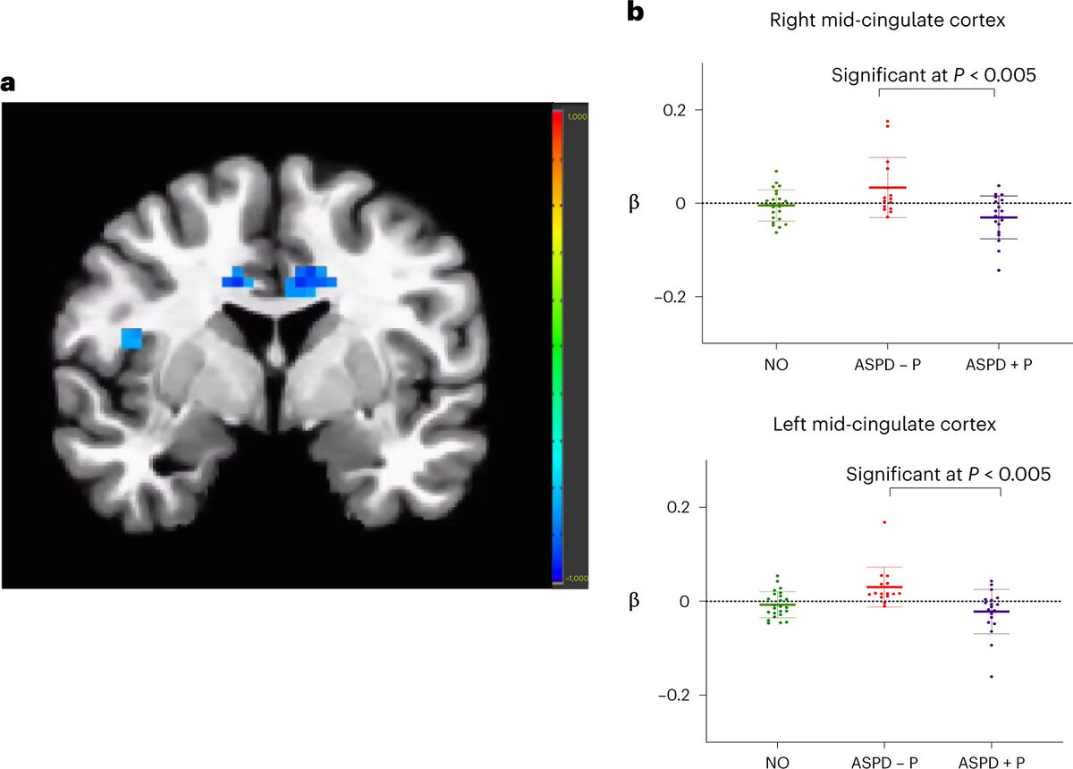   John Tully et al. / Nature Mental Health, 2023