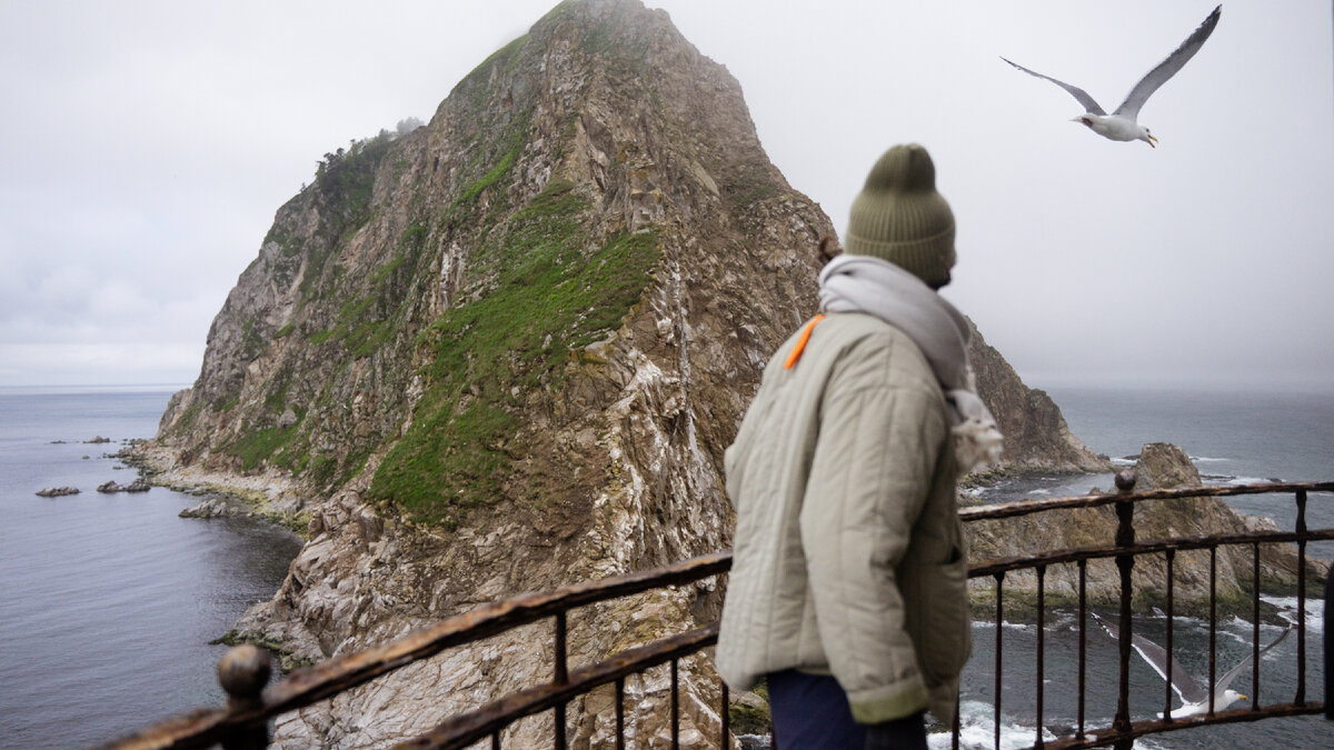 Вид с маяка Анива