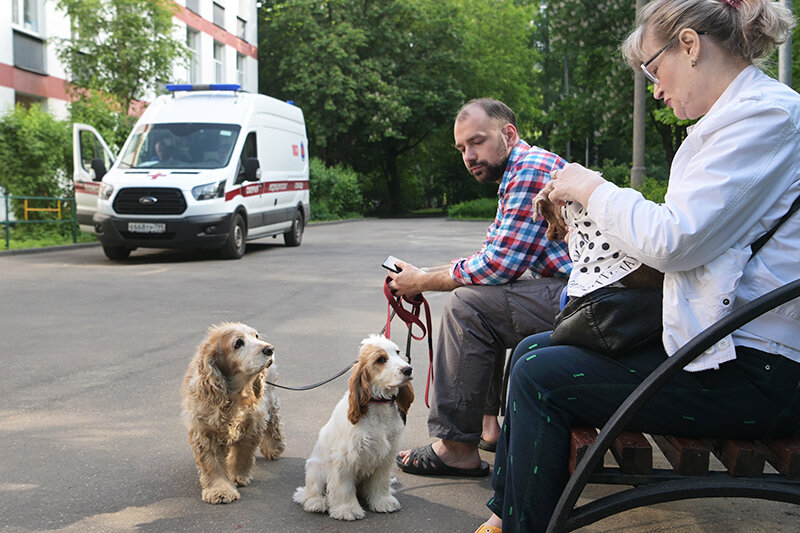    © Алексей Никольский/РИА Новости