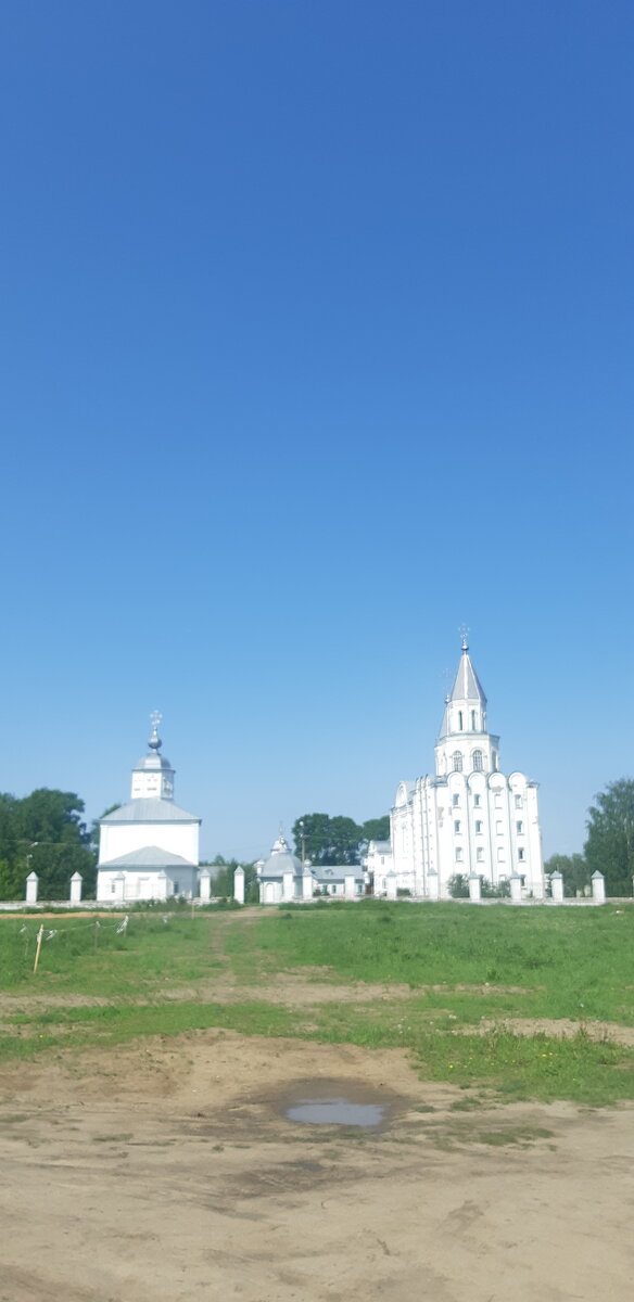 Кедровая роща или маленькая прогулка большого мальчика. | Офигеть | Дзен
