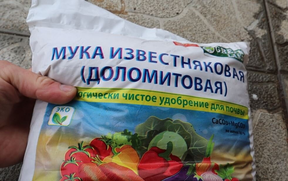 Доломитовая мука - главный секрет большого урожая лука. Получается, что ...