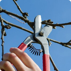 Проверка и подкормка почвы