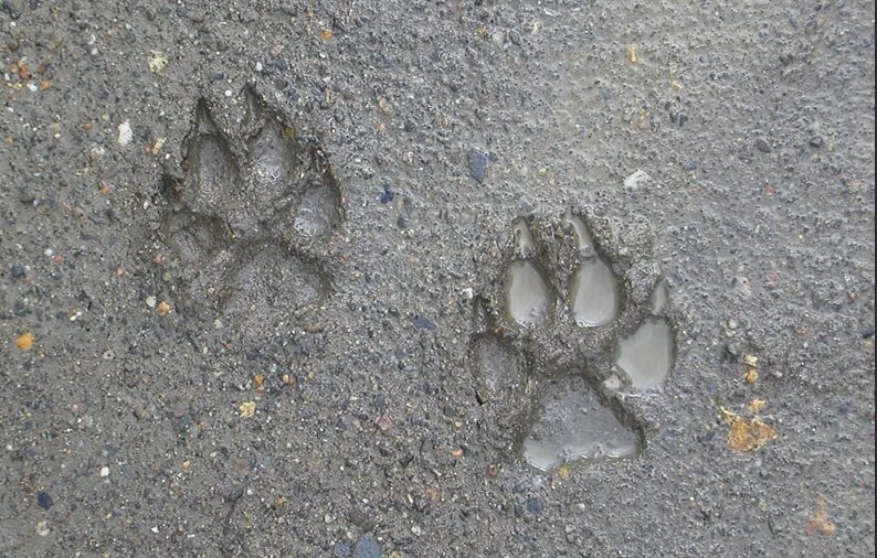 Взято из Яндекс картинки