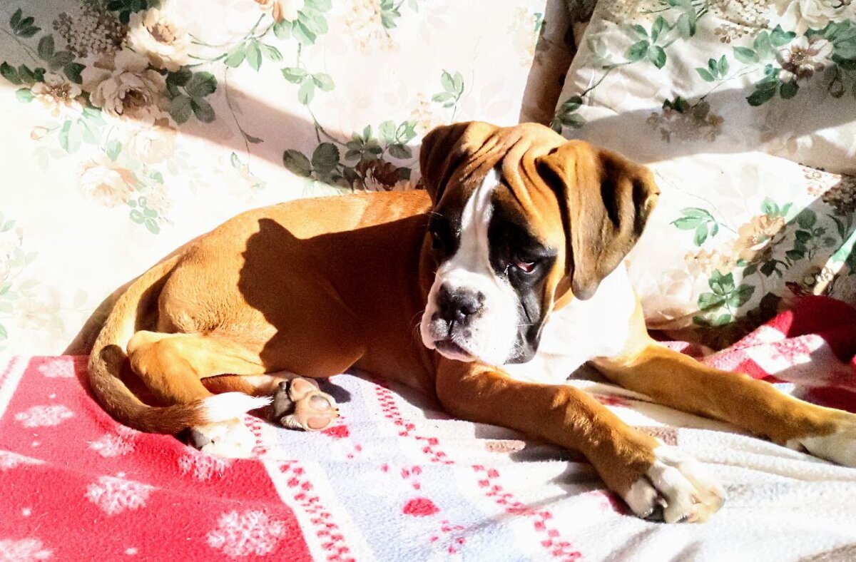 Персефона Сергеевна в шоке