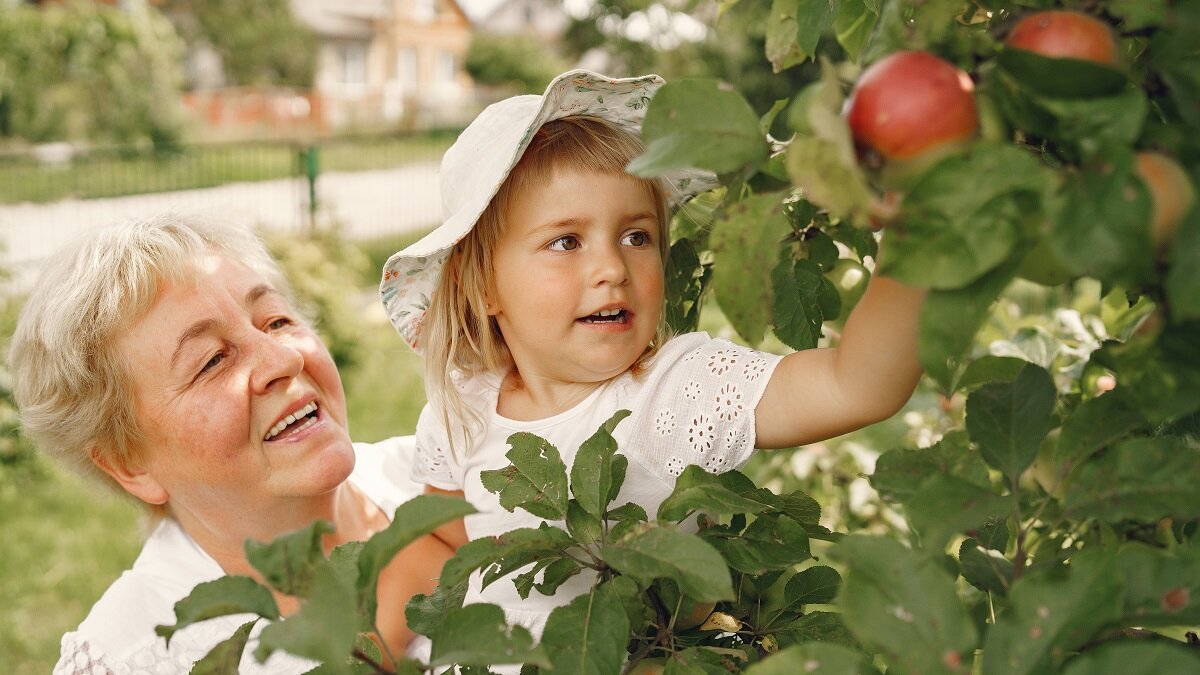   Чем подкармливать яблоню в начале июня