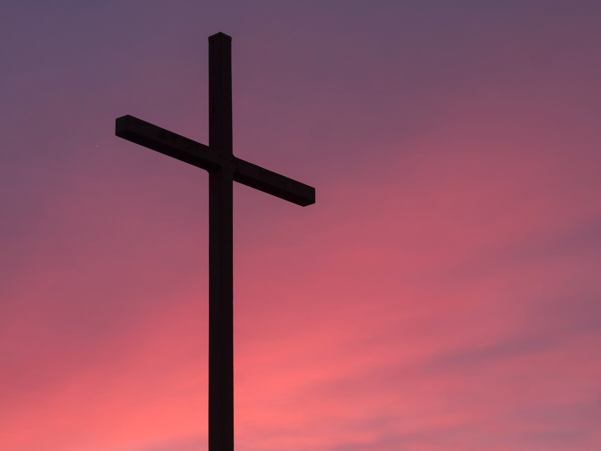 Фото: Aaron Burden/unsplash.com