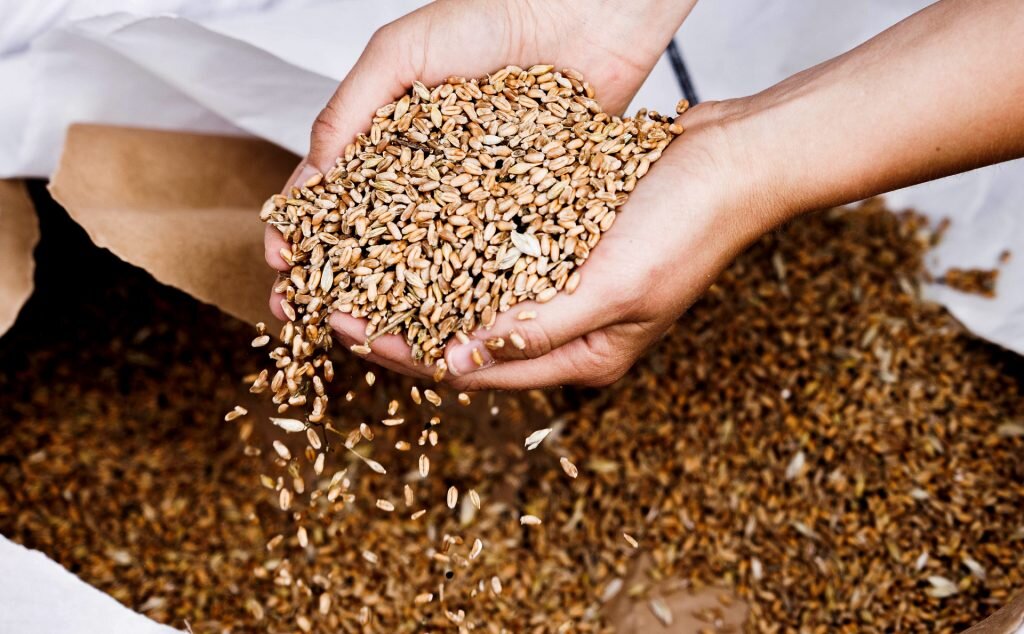 Вот оно, настоящее, реальное золото.