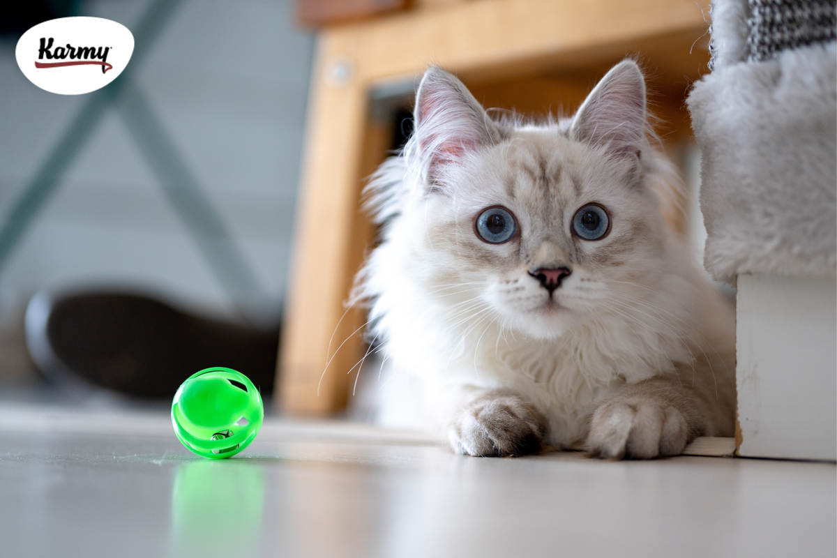 Авторское изображение с использованием картинки с фотостока "Unsplash"