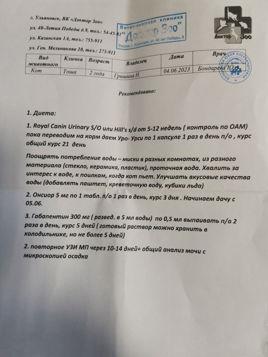 Очередной приступ у Тоши. Каждую неделю в клинике. Хочется уже просто  плакать... | Любовь с когтями | Дзен