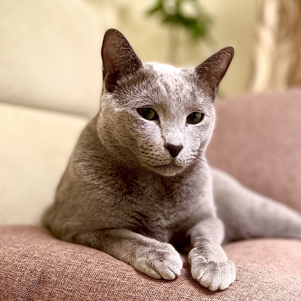 Фоткаешь? Ну-ну)))