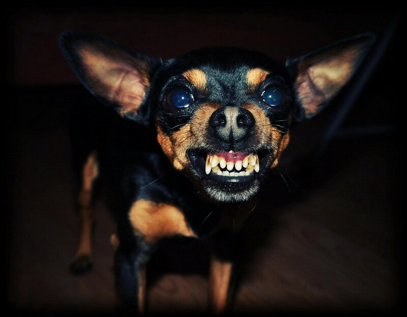 наше состояние после того, как все закончилось... не в нашу пользу