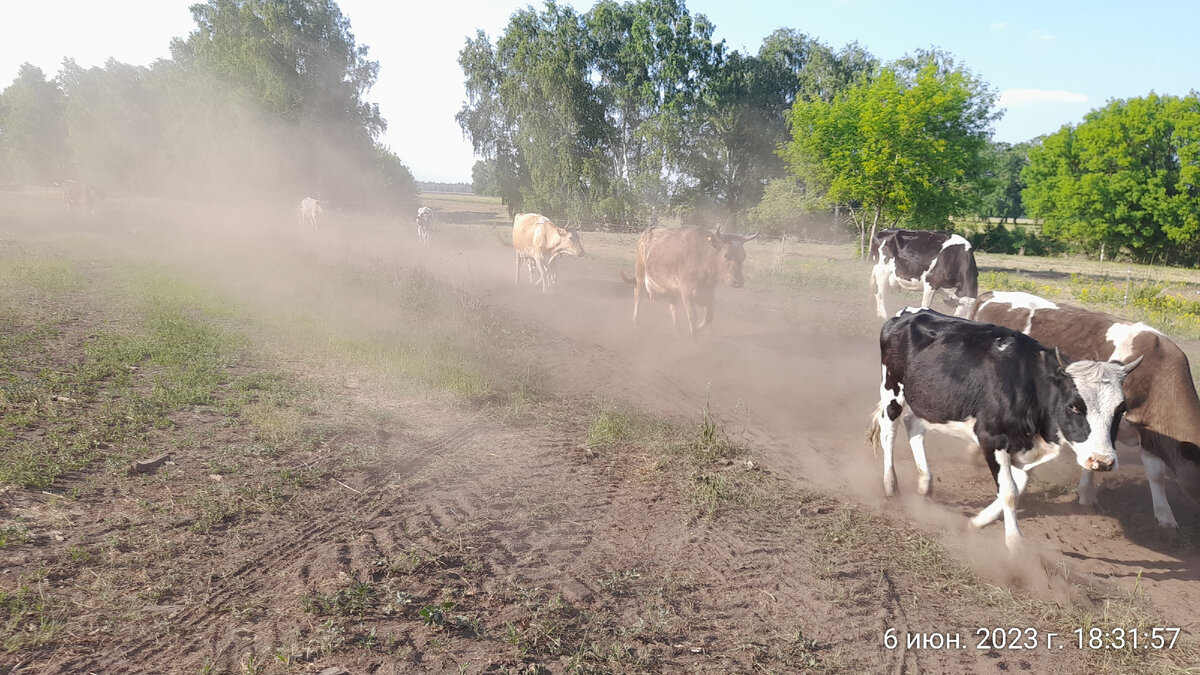 попылили, как говориться...