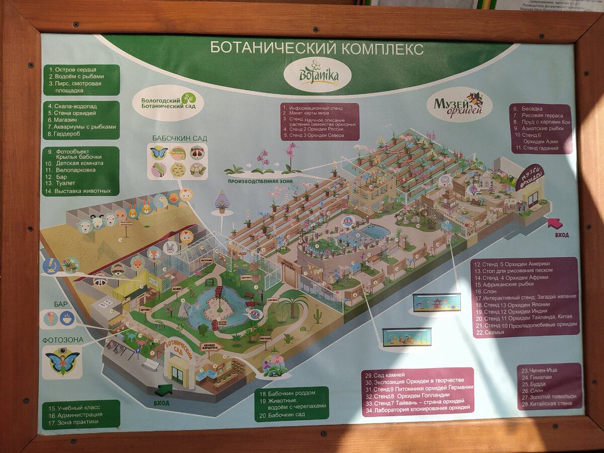 Ботанический сад и музей орхидей Вологды. Делюсь впечатлениями после  посещения | Фотозарисовки из путешествий | Дзен