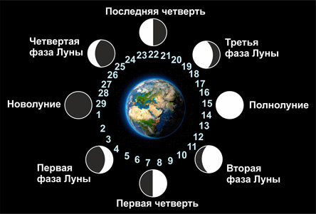 Наглядное изображение четвертей Лунного цикла