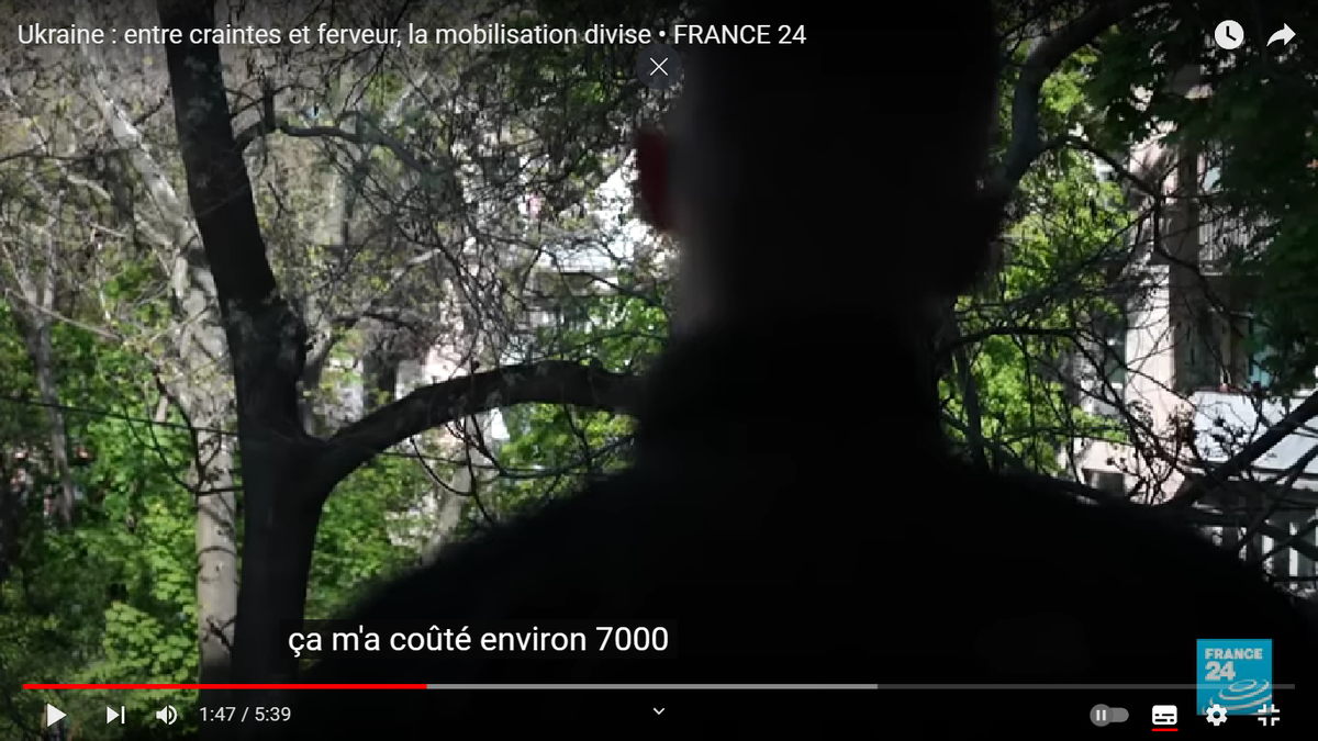 Субтитры: "Это стоило мне 7000" Скриншот с канала France24 с сайта YouTube