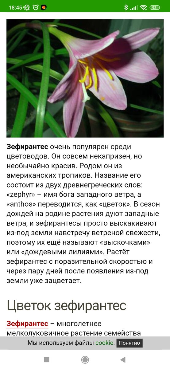 Интересно назван. 