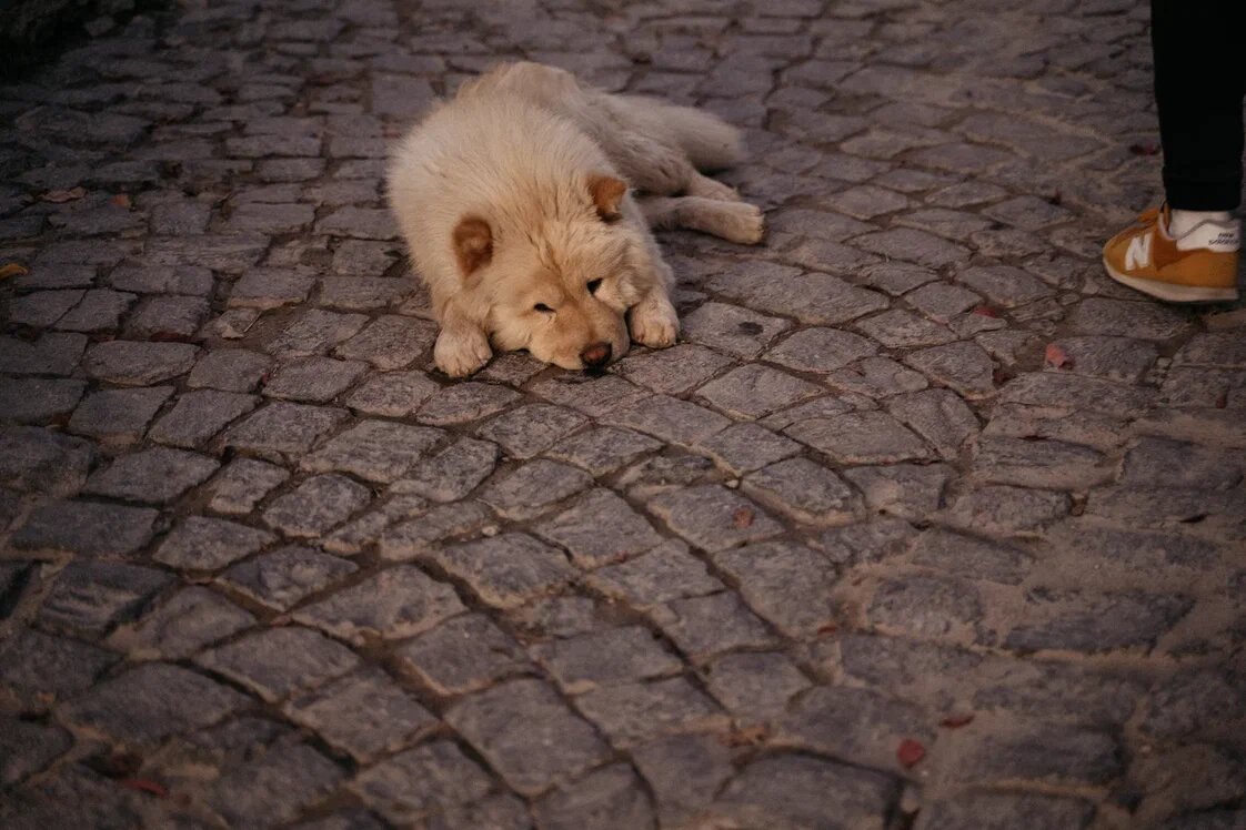 Где-то в Турции. Фото: Роман Мещанов
