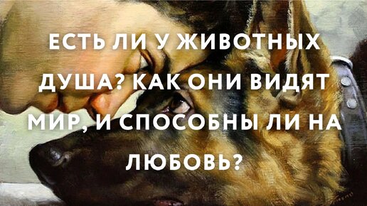 Есть ли у животных Душа? Как они видят мир, и способны ли на любовь?