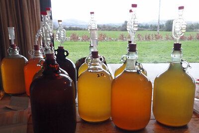    Изготовление сидра в домашних условиях ©Conall Flickr.com