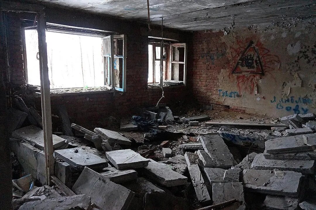 Фото: Филипп Терец/ Подмосковье сегодня
