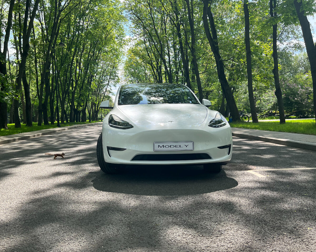 Электрокар создавали как внедорожную версию Tesla Model 3.
