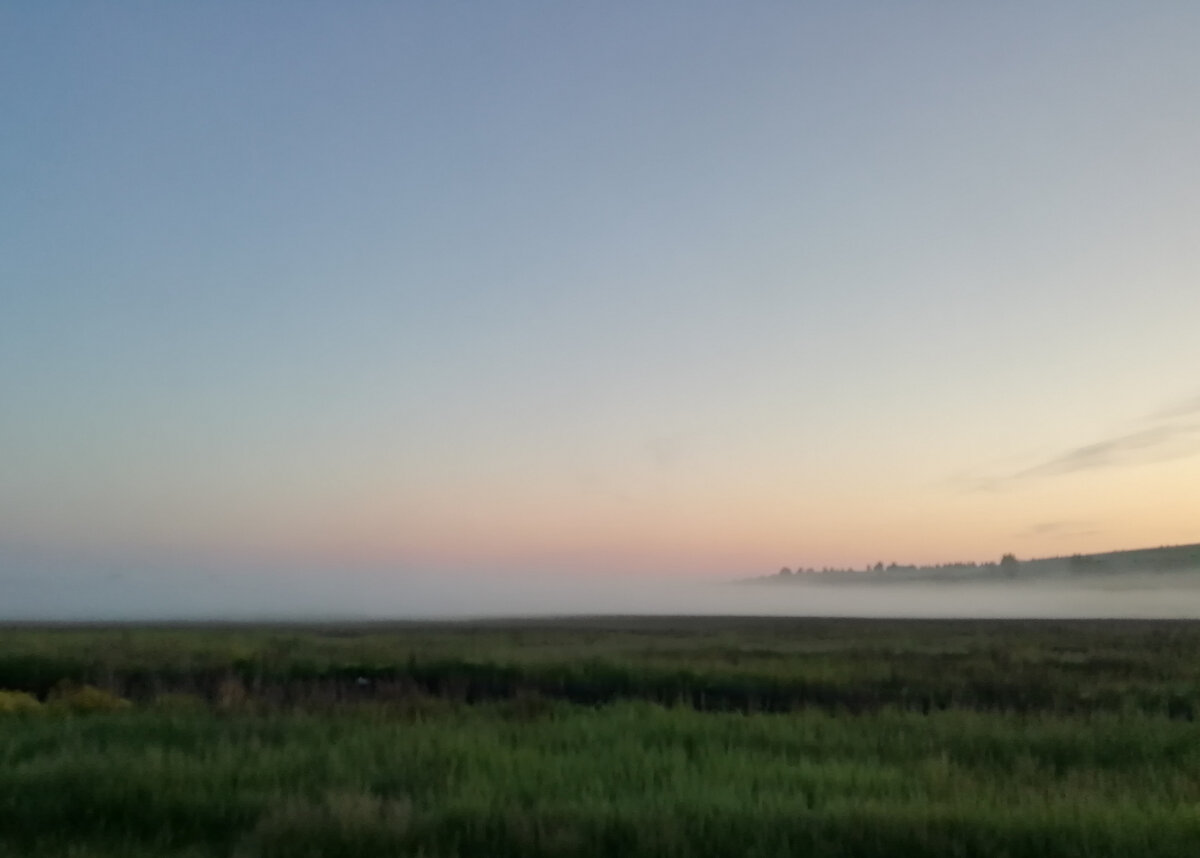 Розовый туман. Фото автора